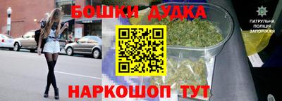 сатива Бузулук