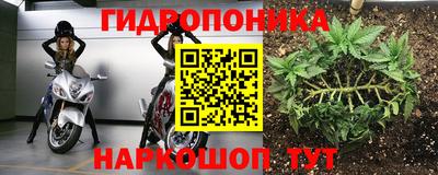 сатива Бузулук