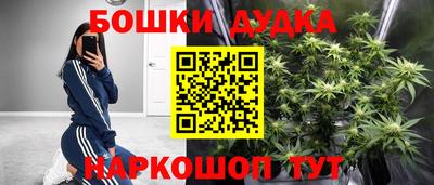 сатива Бузулук