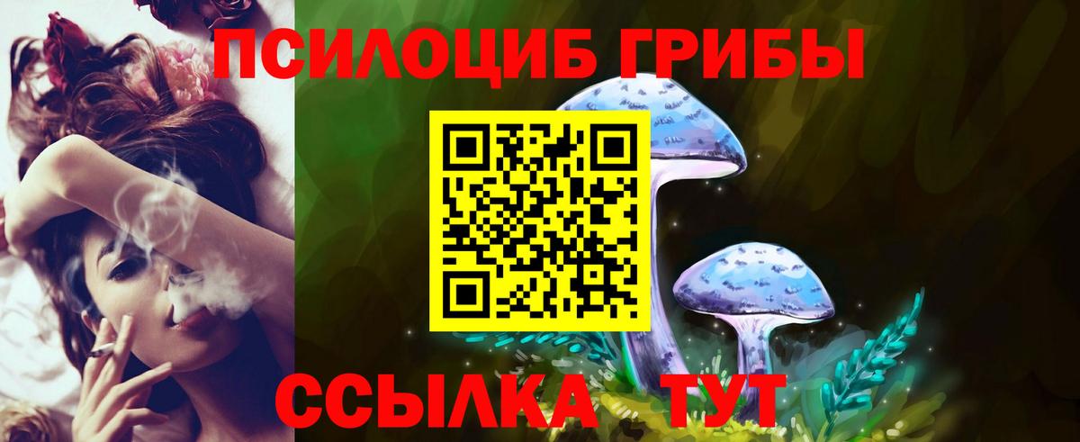 Галлюциногенные грибы прущие грибы Тобольск